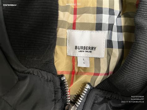 husky reps burberry.